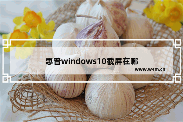 惠普windows10截屏在哪