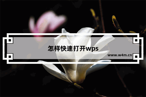 怎样快速打开wps