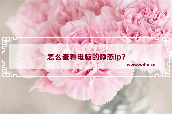 怎么查看电脑的静态ip？