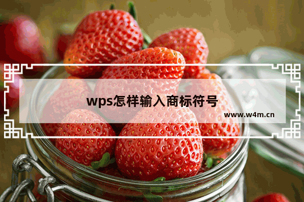 wps怎样输入商标符号