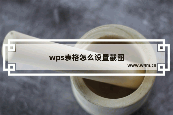 wps表格怎么设置截图