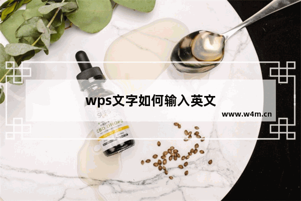 wps文字如何输入英文