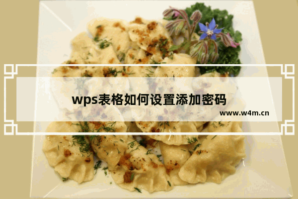 wps表格如何设置添加密码