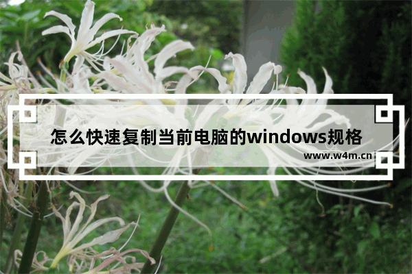 怎么快速复制当前电脑的windows规格？