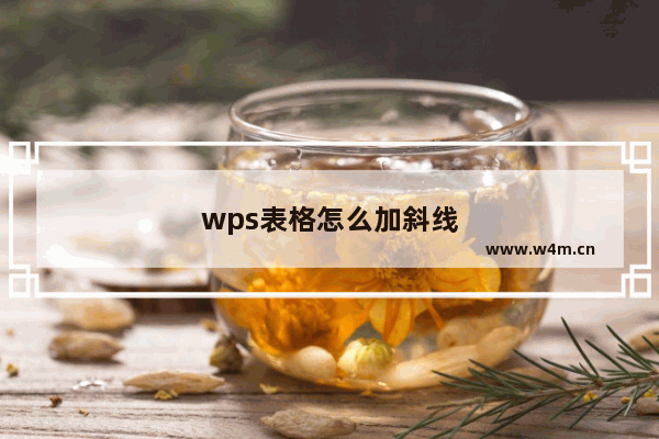 wps表格怎么加斜线