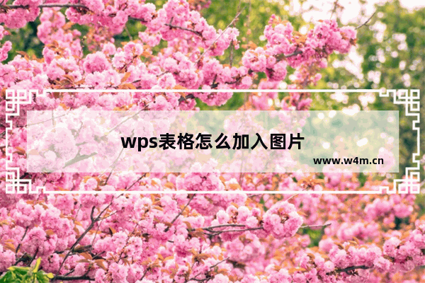 wps表格怎么加入图片