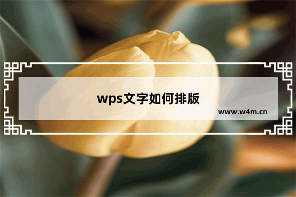 wps文字如何排版