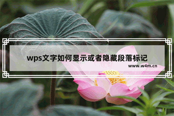 wps文字如何显示或者隐藏段落标记