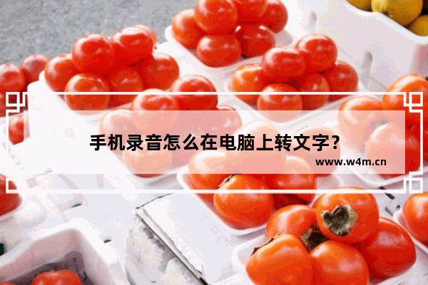 手机录音怎么在电脑上转文字？