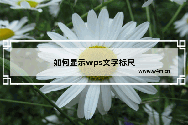 如何显示wps文字标尺