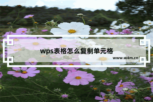 wps表格怎么复制单元格