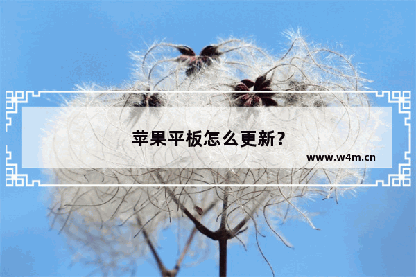 苹果平板怎么更新？