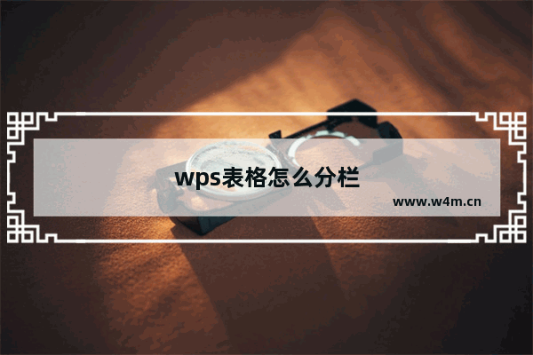 wps表格怎么分栏