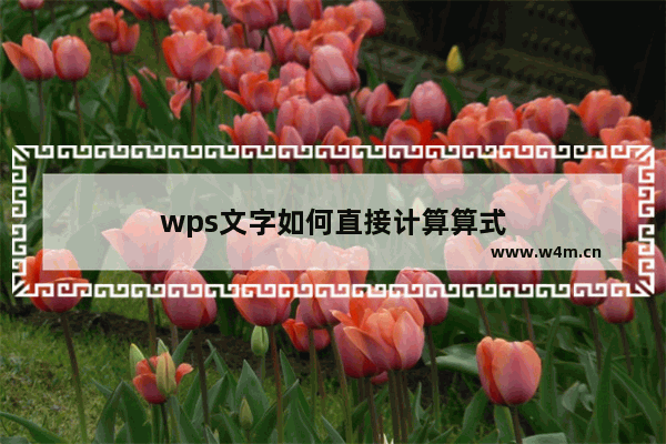 wps文字如何直接计算算式