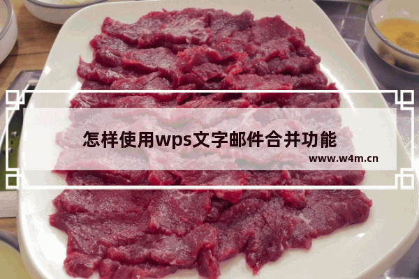 怎样使用wps文字邮件合并功能