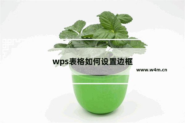 wps表格如何设置边框