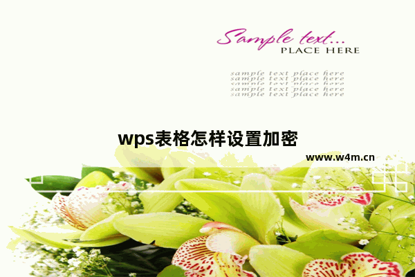 wps表格怎样设置加密