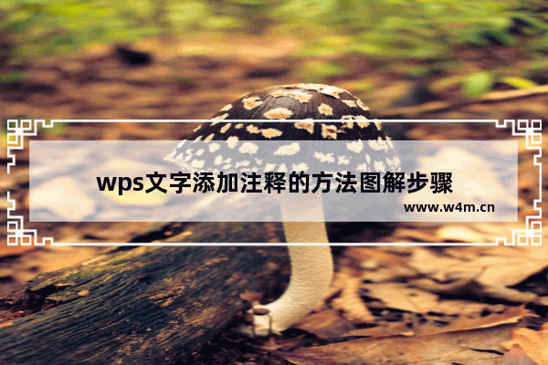 wps文字添加注释的方法图解步骤