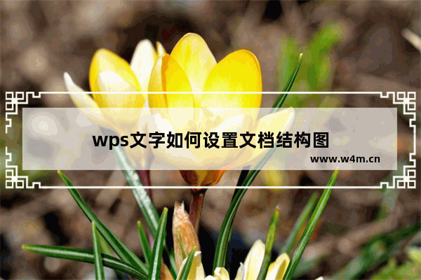 wps文字如何设置文档结构图