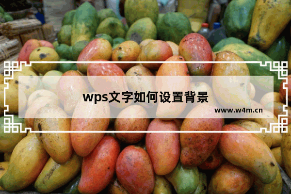 wps文字如何设置背景