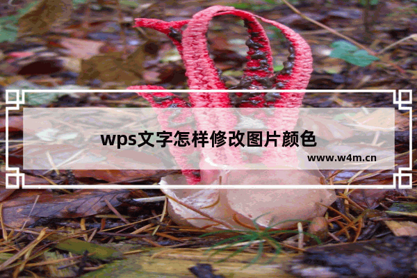 wps文字怎样修改图片颜色