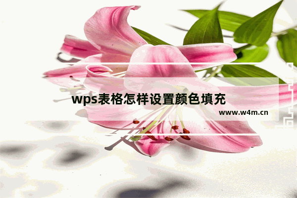 wps表格怎样设置颜色填充