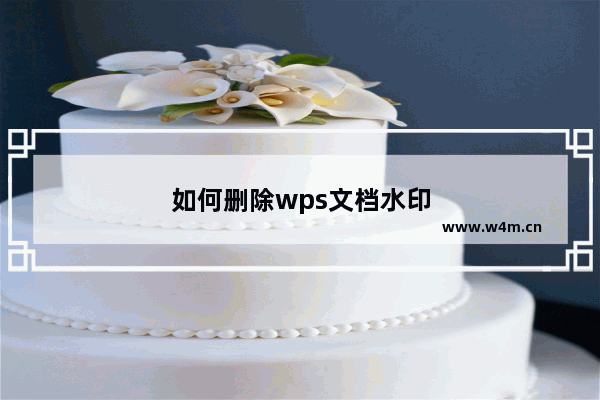 如何删除wps文档水印