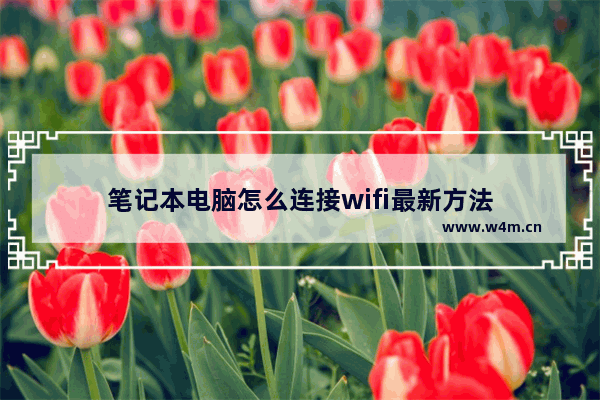 笔记本电脑怎么连接wifi最新方法