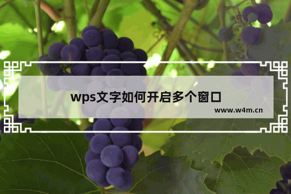 wps文字如何开启多个窗口