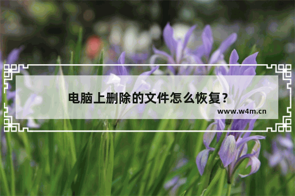 电脑上删除的文件怎么恢复？