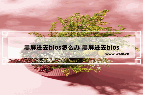 黑屏进去bios怎么办 黑屏进去bios怎么办