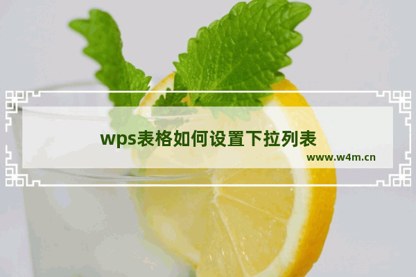 wps表格如何设置下拉列表