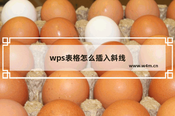 wps表格怎么插入斜线