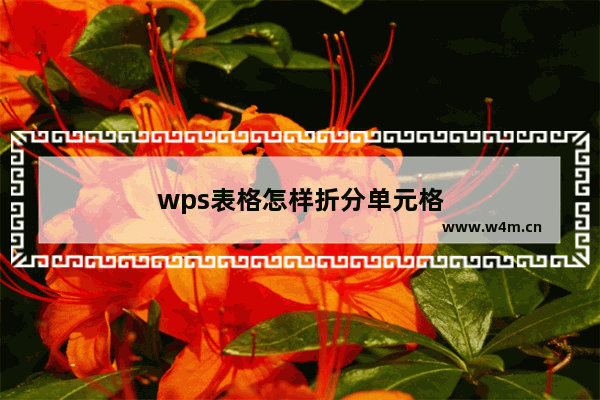 wps表格怎样折分单元格