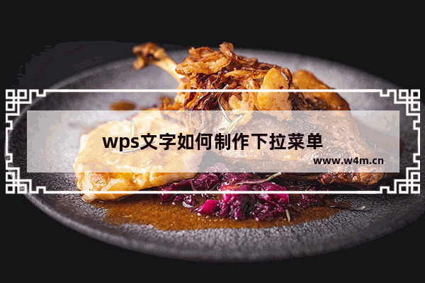 wps文字如何制作下拉菜单