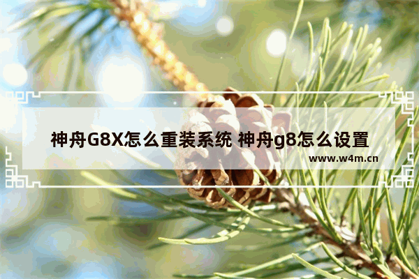 神舟G8X怎么重装系统 神舟g8怎么设置u盘启动