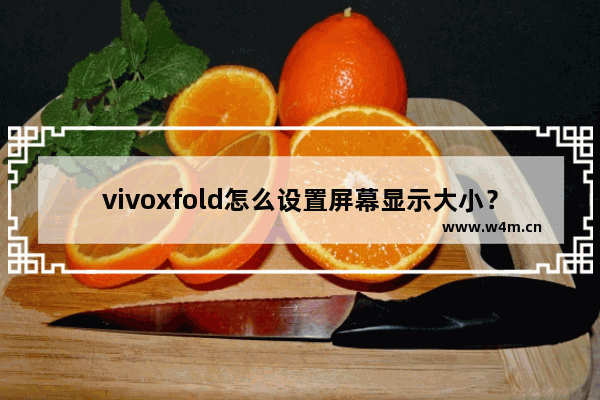 vivoxfold怎么设置屏幕显示大小？