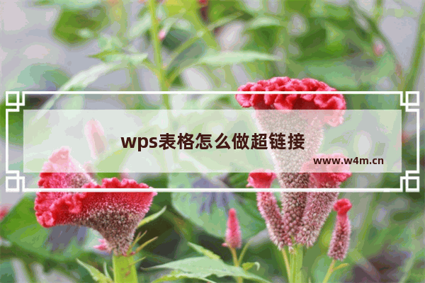 wps表格怎么做超链接