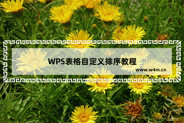 WPS表格自定义排序教程