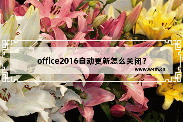 office2016自动更新怎么关闭？