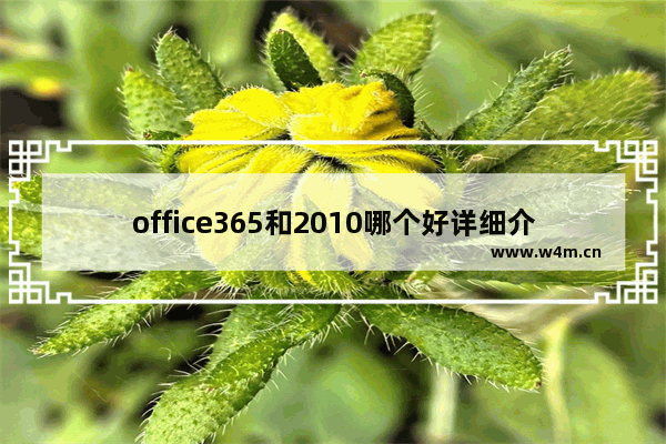 office365和2010哪个好详细介绍