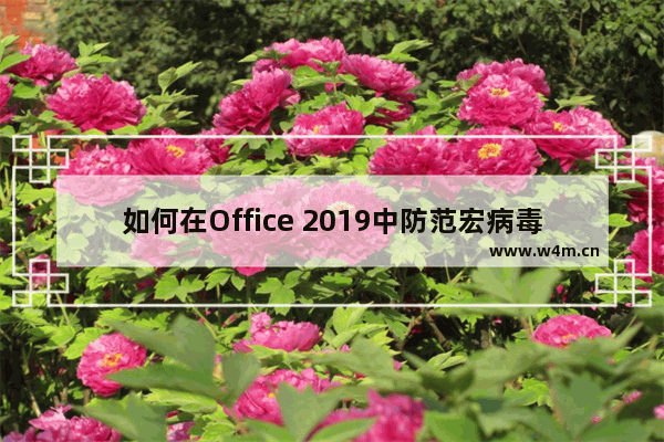 如何在Office 2019中防范宏病毒