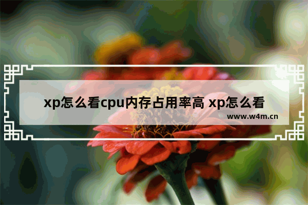 xp怎么看cpu内存占用率高 xp怎么看cpu内存占用率高不高