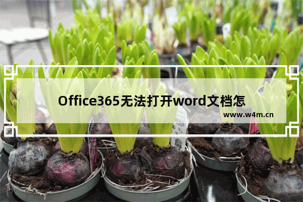 Office365无法打开word文档怎么办？Office365无法打开word文档的解决方法