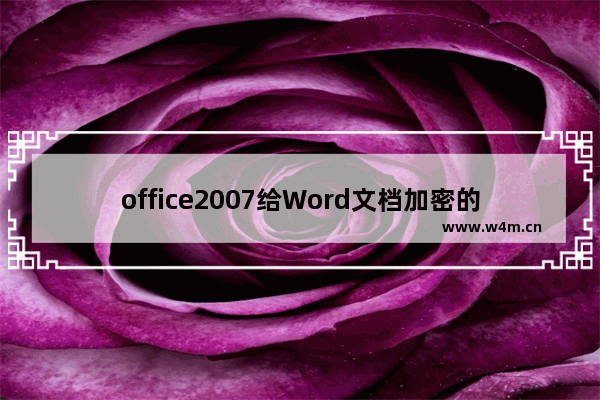 office2007给Word文档加密的简单步骤