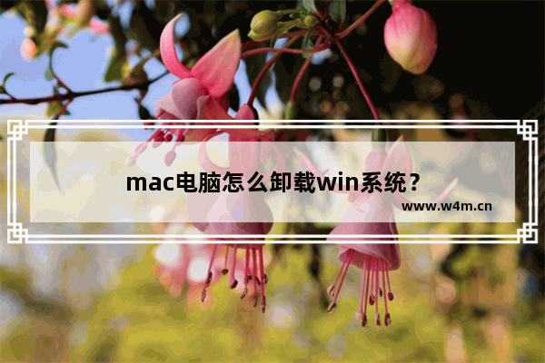 mac电脑怎么卸载win系统？