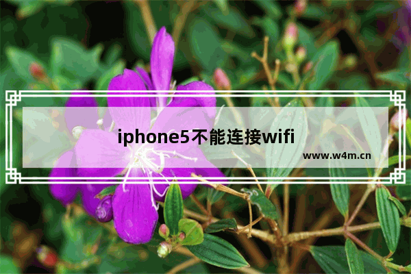 iphone5不能连接wifi