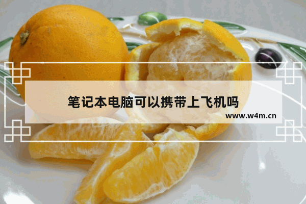 笔记本电脑可以携带上飞机吗