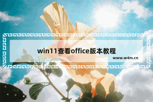 win11查看office版本教程