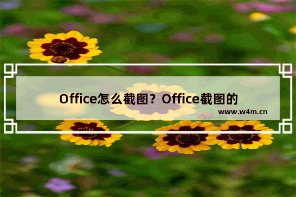 Office怎么截图？Office截图的方法须知